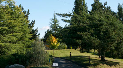 Trail
